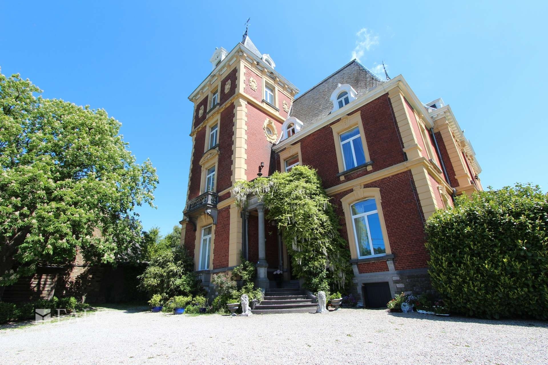 Images Kasteel Neufais te koop