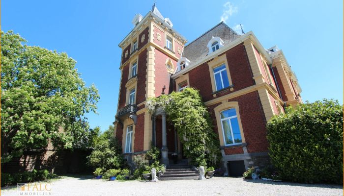 Château à vendre Liège, Verviers, Theux, La Reid,  Belgique