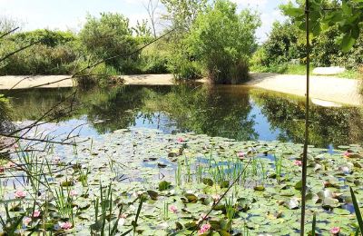 Manoir à vendre Gémozac, Nouvelle-Aquitaine, Der Teich mit Sandstrand