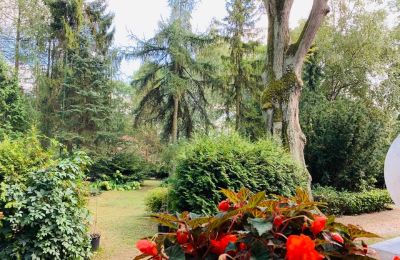 Landhuis te koop 14-330 Sople, Dworek Sople 17, Ermland-Mazurië, Foto 11/13