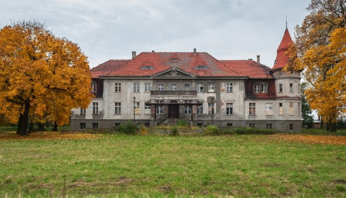 Château à vendre Karczewo, Grande-Pologne,  Pologne