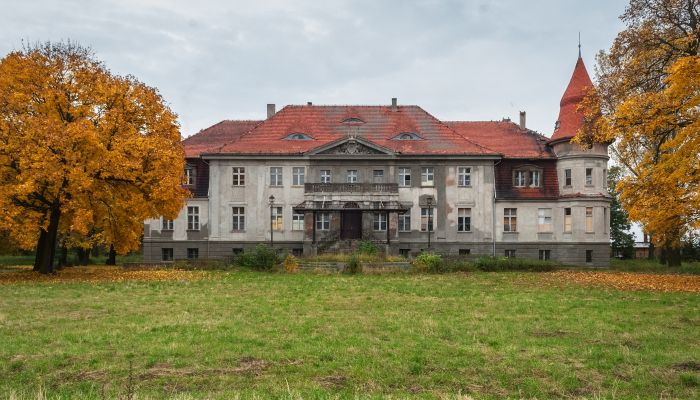Kasteel te koop Karczewo, Groot-Polen,  Polen