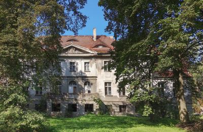 Kasteel te koop Karczewo, Groot-Polen, Park