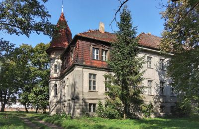 Kasteel te koop Karczewo, Groot-Polen, Zijaanzicht