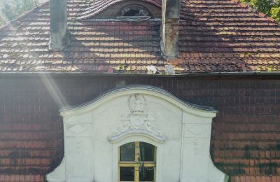 Kasteel te koop Karczewo, Groot-Polen, Dak