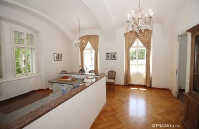Château à vendre Jihomoravský kraj:  