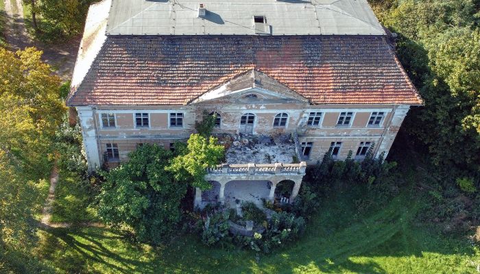 Manoir néoclassique à vendre, Wielkopolska, Offre immobilière confidentielle
