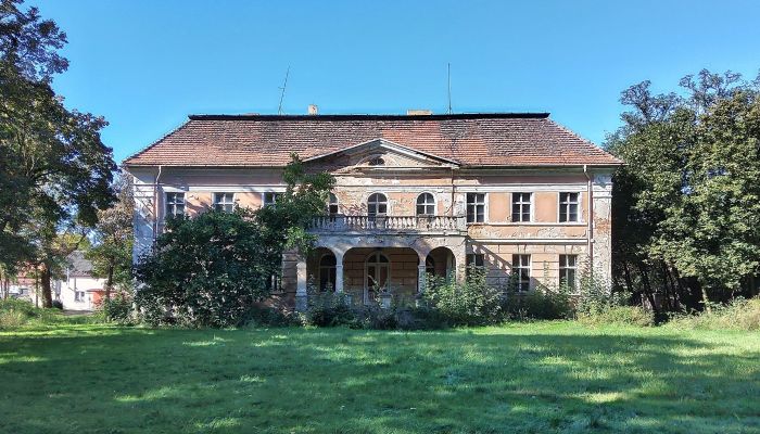 Neoklassiek landhuis in Wielkopolska