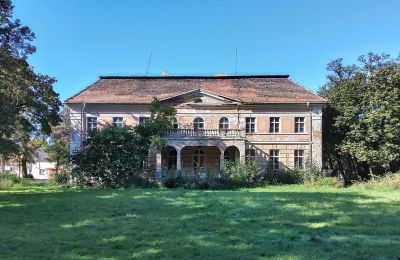 Kasteel te koop Granówko, Groot-Polen, Achteraanzicht