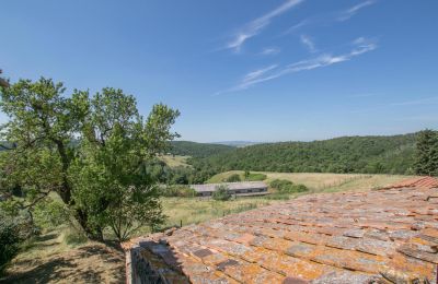Ferme à vendre Asciano, Toscane:  RIF 2982 Blick auf Landschaft