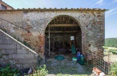 Ferme à vendre Asciano, Toscane:  RIF 2982 Blick auf NG