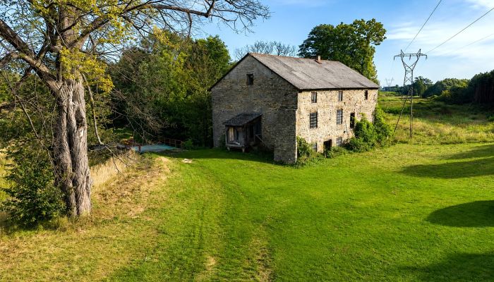 Molen te koop Pawłów, Mazovië