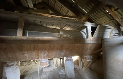 Molen te koop Pawłów, Mazovië, Foto 5/19