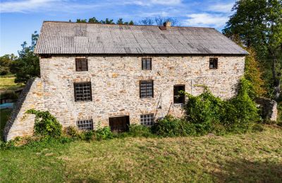 Molen te koop Pawłów, Mazovië, Foto 2/19