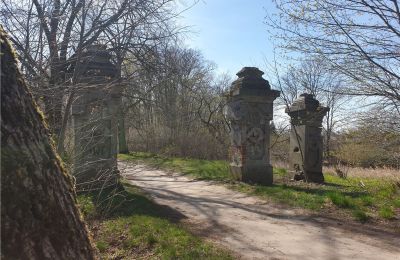 Historisch Park te koop Dębe Wielkie, Ruda, Mazovië, Foto 2/24