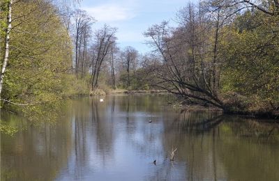 Historisch Park te koop Dębe Wielkie, Ruda, Mazovië, Foto 14/24