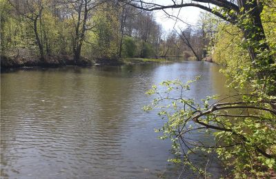 Historisch Park te koop Dębe Wielkie, Ruda, Mazovië, Foto 15/24