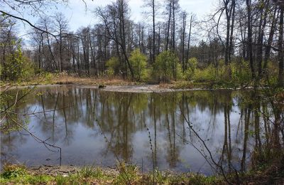Historisch Park te koop Dębe Wielkie, Ruda, Mazovië, Foto 20/24