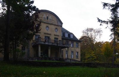 Kasteel te koop Trzcinno, Trzcinno 21, Pommeren, Zijaanzicht