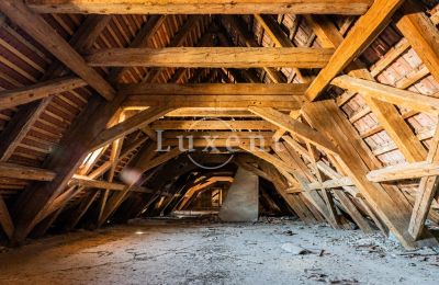 Kasteel te koop Cítoliby, Zamek Cítoliby, Ústecký kraj, Dak