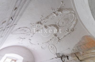 Kasteel te koop Cítoliby, Zamek Cítoliby, Ústecký kraj, Stucdecoratie