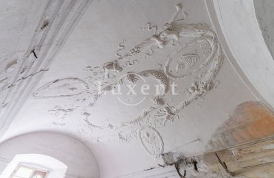 Château à vendre Cítoliby, Zamek Cítoliby, Ústecký kraj:  Décoration en stuc