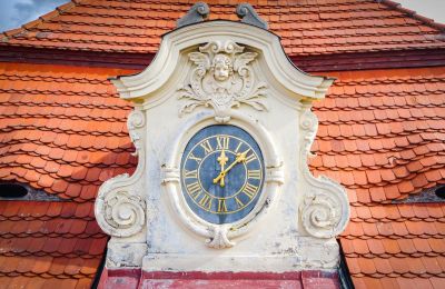 Château à vendre Mirošov, Zámek Mirošov, okres Rokycany, Détails