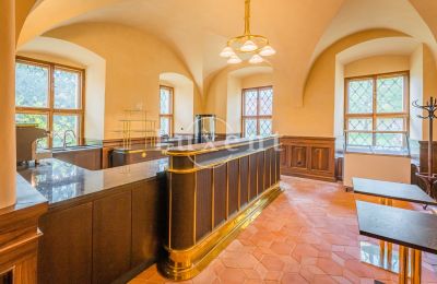 Kasteel te koop Mirošov, Zámek Mirošov, Plzeňský kraj, Foto 19/30