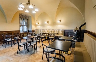 Kasteel te koop Mirošov, Zámek Mirošov, Plzeňský kraj, Foto 17/30