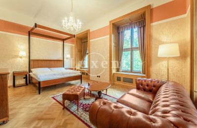 Kasteel te koop Mirošov, Zámek Mirošov, Plzeňský kraj, Foto 15/30