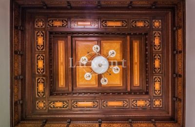 Kasteel te koop Mirošov, Zámek Mirošov, Plzeňský kraj, Foto 12/30