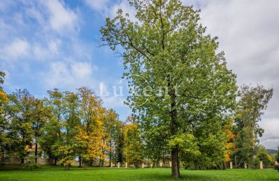 Château à vendre Mirošov, Zámek Mirošov, Plzeňský kraj:  