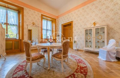 Kasteel te koop Mirošov, Zámek Mirošov, Plzeňský kraj, Foto 20/30