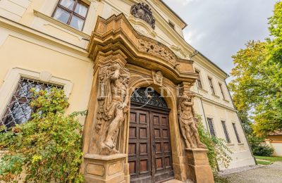 Kasteel te koop Mirošov, Zámek Mirošov, Plzeňský kraj, Foto 29/30