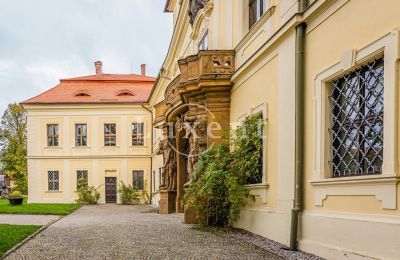 Kasteel te koop Mirošov, Zámek Mirošov, Plzeňský kraj, Foto 28/30