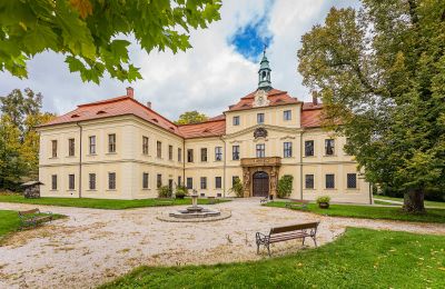 Château à vendre Mirošov, Région de Pilsen