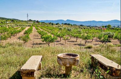 Château à vendre Ibi, Communauté Valencienne:  Terrain