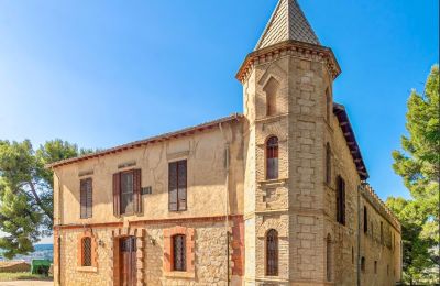 Château Ibi, Valence