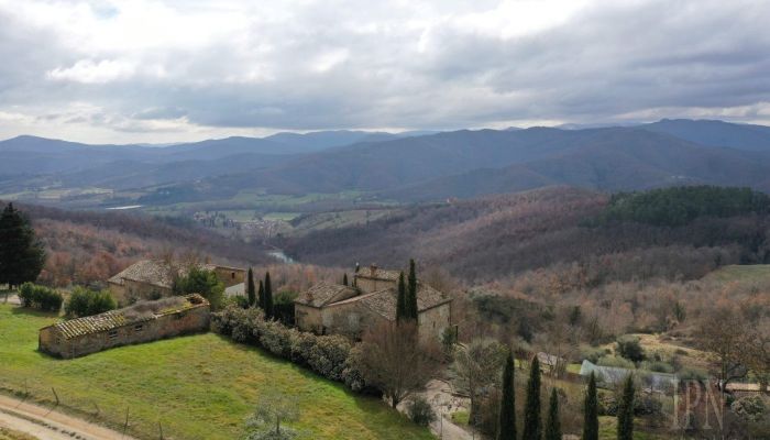 Ferme Città di Castello 3