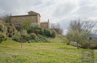 Ferme à vendre Città di Castello, Ombrie:  