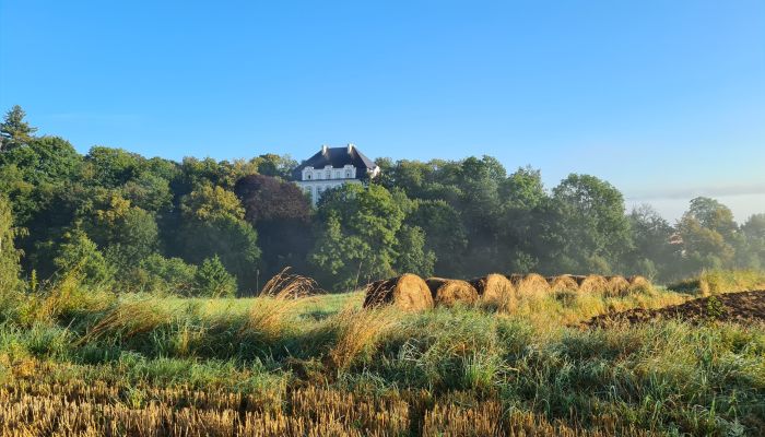 Château Piszkowice 1