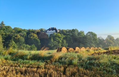 Propriétés, Splendide château dans la pittoresque vallée de Kłodzko