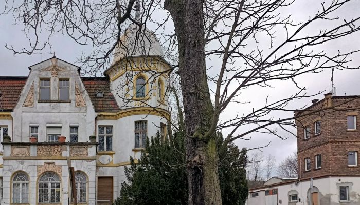 Villa historique Tuplice 3