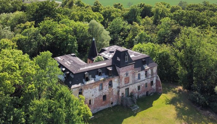 Château à vendre Komorowice, Basse-Silésie,  Pologne