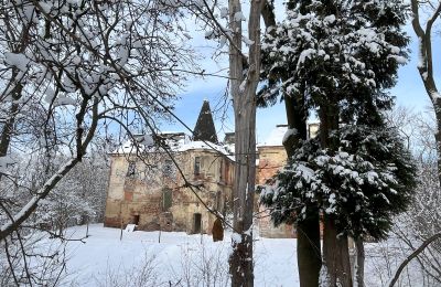 Kasteel te koop Komorowice, Wrocławska 27, Neder-Silezië, Foto 33/36