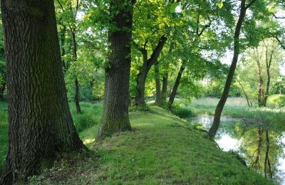 Kasteel te koop Komorowice, Wrocławska 27, Neder-Silezië, Foto 15/36
