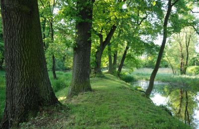 Château à vendre Komorowice, Wrocławska 27, Basse-Silésie:  