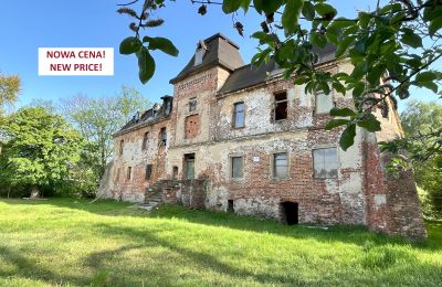 Kasteel te koop Komorowice, Wrocławska 27, Neder-Silezië, Foto 3/36