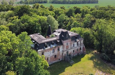 Propriétés, Château à rénover avec petit parc Wrocław, Pologne
