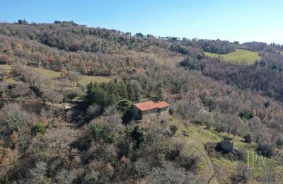 Ferme à vendre 06019 Preggio, Ombrie:  